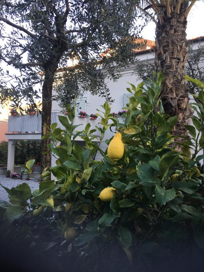 Guesthouse Villa Jung Bordighera Ngoại thất bức ảnh